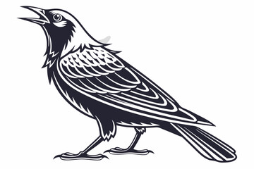 starling silhoette black vector