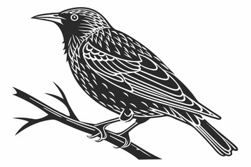 starling silhoette black vector