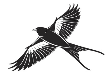 thrush sihouette black vector