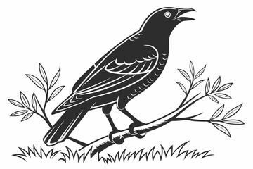 bowerbird sihouette black vector