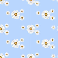 Obraz premium seamless pattern with daisies