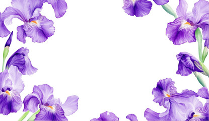 Purple Iris Flower Frame