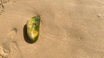 Ancient mossy pebble resting on sun-kissed sands, echoing Earth's primal whispers, evocative of...