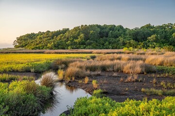 hilton head island, south carolina