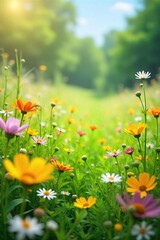 Vibrant, sun-drenched meadow bursting with wildflowers and lush green grass Perfect for spring, summer, or nature-themed projects Ideal for websites, blogs, and presentations , outdoor, amazing, sun