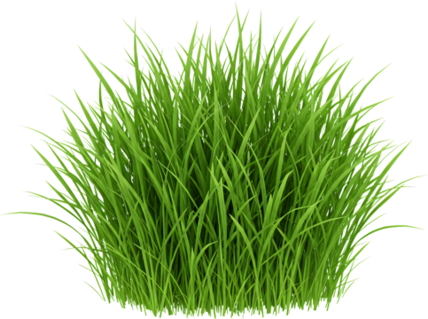patch of grass with transparent background frame border - Powered by Adobe