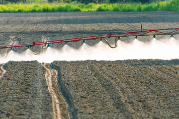 Automated agricultural sprayer watering field with precision technology