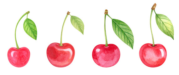 A vibrant watercolor illustration of fresh cherries with green leaves.