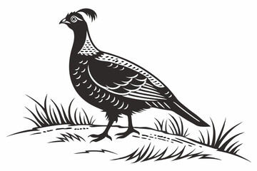 grouse sihouette black vector