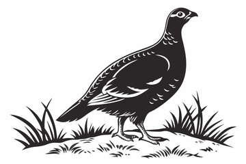 grouse sihouette black vector