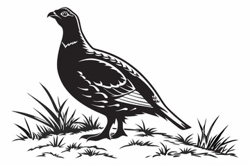 grouse sihouette black vector