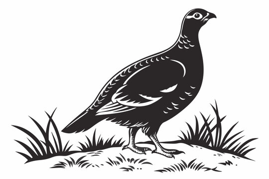 grouse sihouette black vector