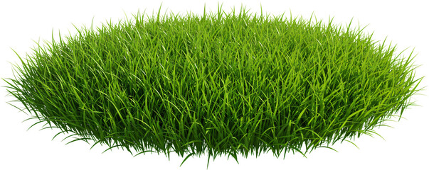 round patch of grass with transparent background