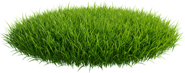 round patch of grass with transparent background
