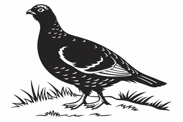 grouse sihouette black vector