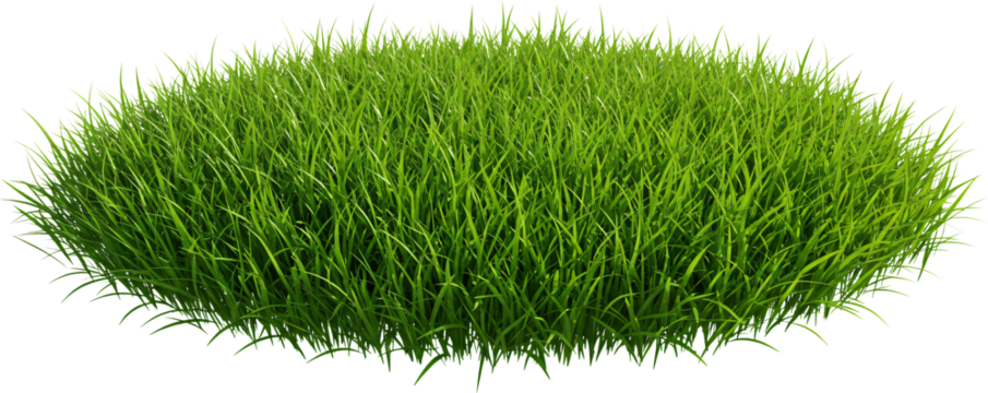 round patch of grass with transparent background