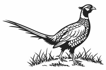 pheasant sihouette black vector