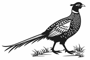 pheasant sihouette black vector