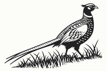 Naklejka premium pheasant sihouette black vector