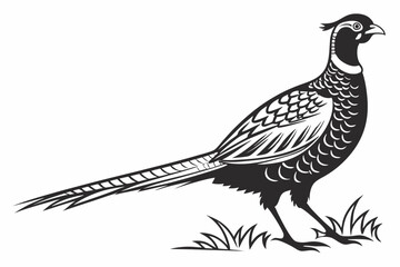 Obraz premium pheasant sihouette black vector