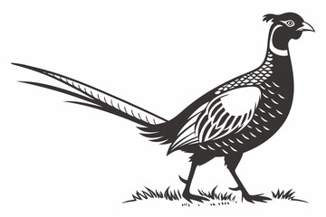 pheasant sihouette black vector