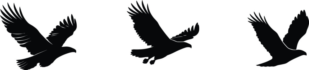 Obraz premium Black Bird Silhouettes in Flight | High-Quality Vector Illustrations Showcasing Graceful Motion and Dynamic Wingspans for Design Use