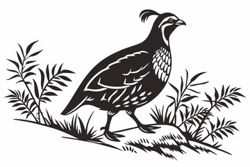 partridge silhoette black vector
