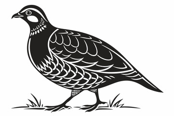 partridge silhoette black vector