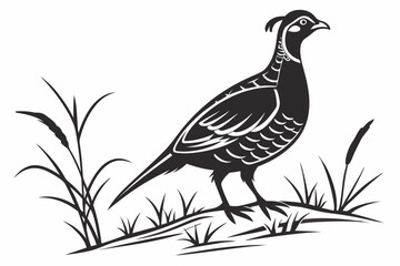 partridge silhoette black vector