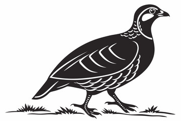 partridge silhoette black vector