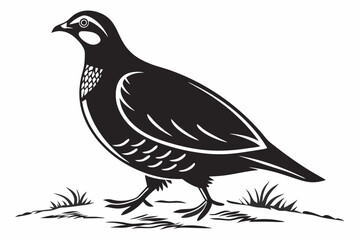 Fototapeta premium partridge silhoette black vector