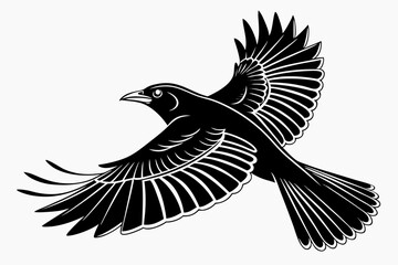 mynah sihouette black vector