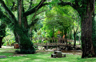 Fototapeta premium park in the park