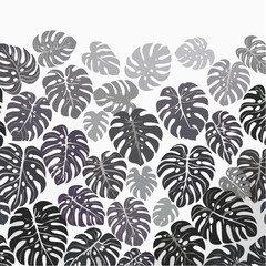 Vector illustration of a seamless pattern featuring various shapes and sizes of the iconic monstera leaf arranged in a repeating design.