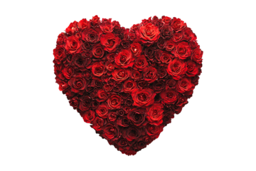 Heart made of beautiful red roses isolated on transparent background