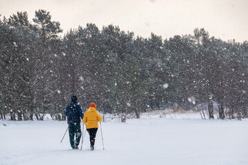 Senior couple walking with Nordic poles through snowy forest in winter snowfall, rear view of active lifestyle