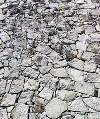 Texture of Castle Wall Stones Photo