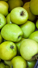 Crisp green apples arranged for healthy eating. For food, nutrition, or grocery related content.