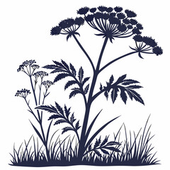 xerophyllum tenax with leaves