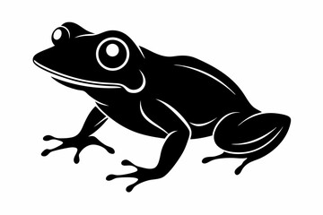frog vector