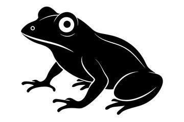 frog vector