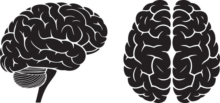Two Black Silhouette Brain Illustrations Side and Top View