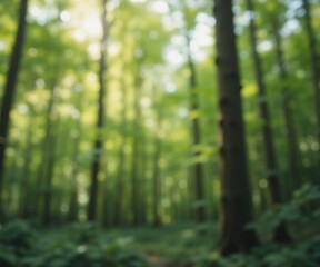 Blurry green forest background nature enviroment 