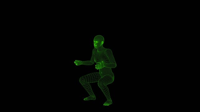 an animation of human in wireframe is air squatting