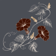 Elegant floral design featuring intricate vines and blossoms rich brown tones against dark background, evoking sense of natural beauty