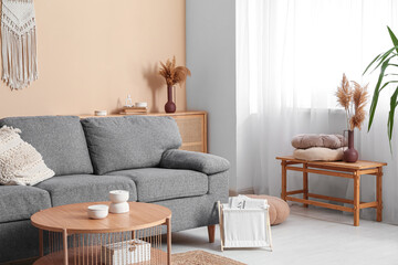 Comfortable sofa, table and magazine holder in interior of living room, closeup