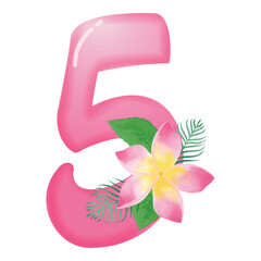 Pink frangipani flower with number 5 illustration