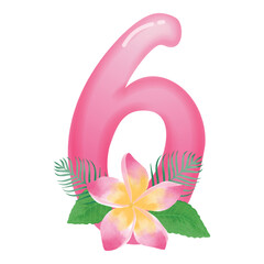 Pink frangipani flower with number 6 illustration