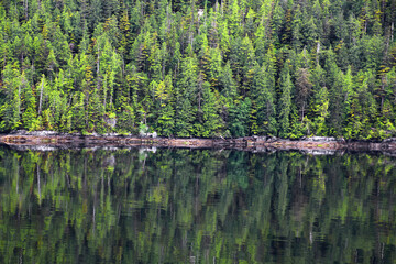 Coastal landscape reflected in Queen Charlotte Sound, British Columbia, Canada 