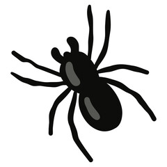 Illustration of a Black Spider